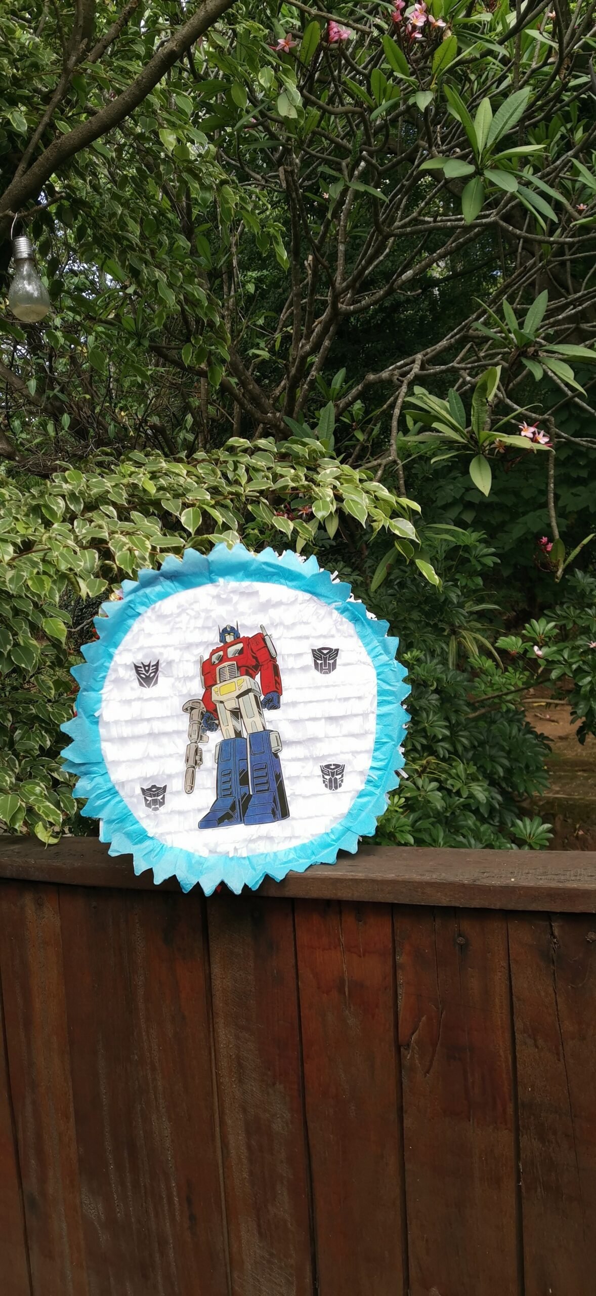 Pinata - Transformer